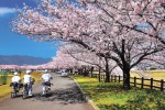 桜花の水辺公園側道